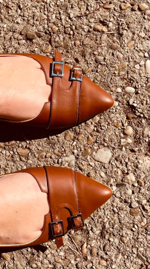 DOUBLE MONK STRAP POINTY BALLERINAS